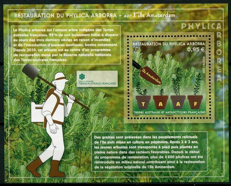 FSAT TAAF 2019 MNH Phylica Arborea Restoration 1v M/S Trees Plants Nature Stamps