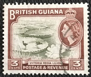 British Guiana #255 Used Single Victoria Regina Lillies