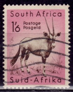 South Africa, 1954, Fauna - Antelope, 1.6sh, used**