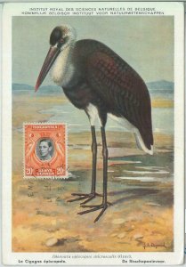 81393 -  KUT  TANGANIKA  - Postal History - MAXIMUM CARD - 1954  Birds STORK