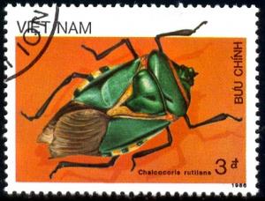 Insect, Green Bug, Chalcocoris Rutilans, Vietnam SC#1709