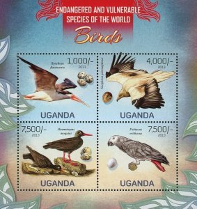 Birds Stamp Rynchops Flavirostris Haematopus Moquini Psittacus S/S MNH #3010-301