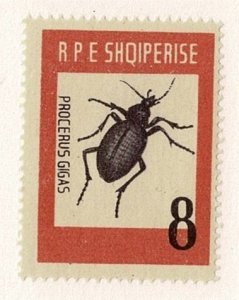 Albania #662 MNH beetle