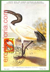 32854 - CONGO - MAXIMUM CARD - 1963 - FAUNA, BIRDS-