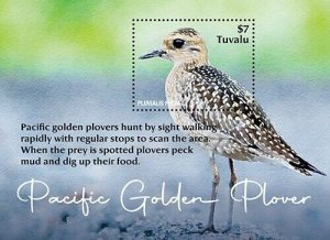 2023 06- TUVALU - PACIFIC GOLDEN PLOVER       1V  complet set    MNH **