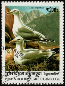 Cambodia 1980 - Cto - 1500r European Herring Gull (2000)