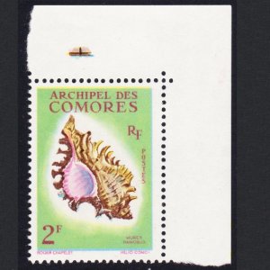 Comoro Is. Sea Shell 'Murex ramosus' 2f Corner 1962 MNH SC#50 SG#25 MI#44