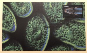 2023 Life Magnified FDC HAND CRAFTED FOLDED CACHET Microscope Zebrafish