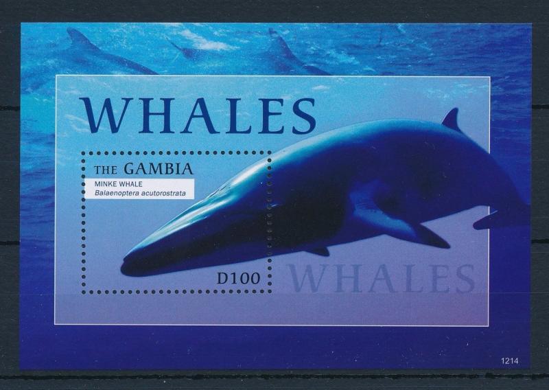 [32218] Gambia 2012 Marine Life Whale MNH Sheet
