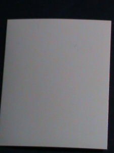 ​BHUTAN 3D AIRMAIL STAMP FAMOUS MASK- MNH- SPECIAL STAMP #2 VERY FINE