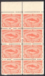 Newfoudland #48 XF MINT RARE Block of 8 C$480.00