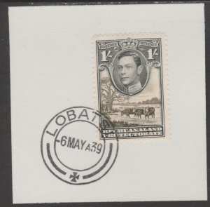 BECHUANALAND 1938 KG6 CATTLE  1s on piece with MADAME JOSEPH  POSTMARK