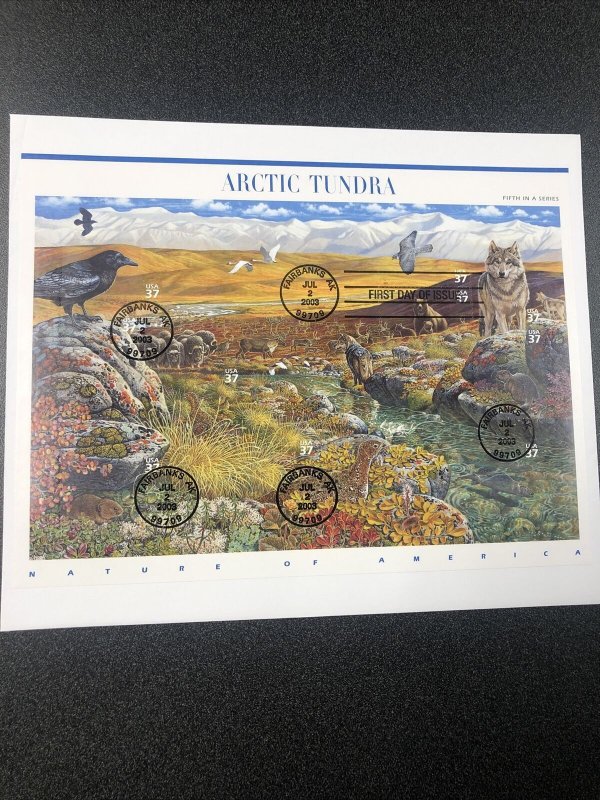 US First Day Cover 3802 Arctic Tundra Full Sheet Large Envelope