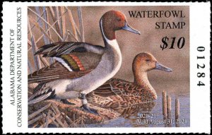 ALABAMA #42 2020 STATE DUCK STAMP PINTAILS by Jon Denney