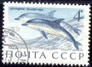 Common Dolphins, Russia stamp SC#3882 used