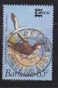 BARBADOS Scott # 703 Used - Bird - Audubon's Shearwater