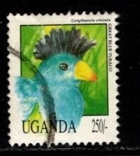 Uganda - #1070 Birds - Great Blue Turaco - Used