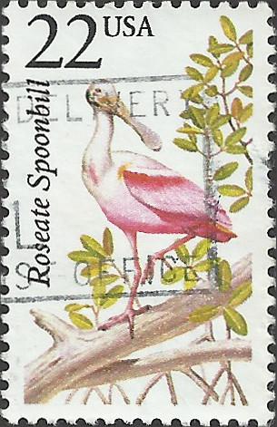 # 2308 USED ROSEATE SPOONBILL