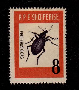 Albania - 1963-SC 662-H-Beetle-Procerus gigas