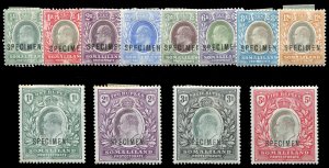 Somaliland Protectorate #27-39S (SG 32-44s) Cat£225, 1904 Edward, 1/2a-5r, c...