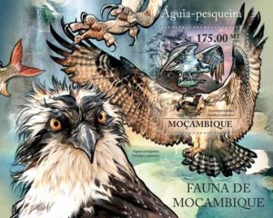 Mozambique - Birds -  Stamp Souvenir Sheet 13A-782