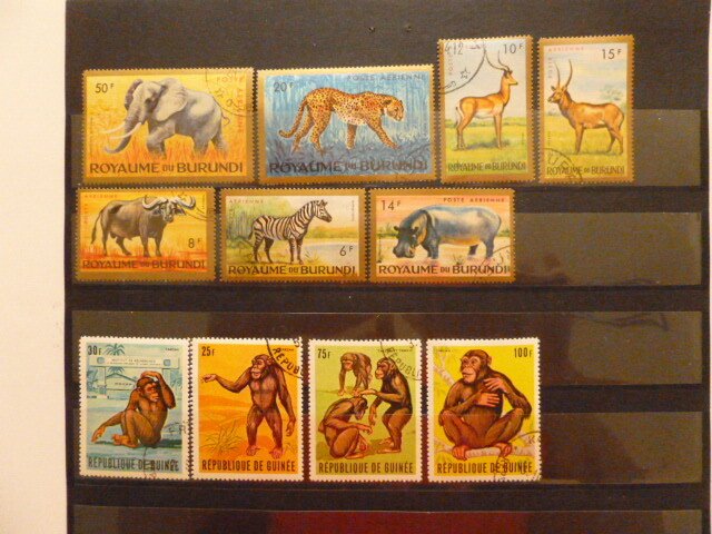 1962 BURUNDI & Guinea stamps collection Wild animal #10