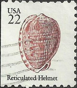 # 2118 USED RETICULATED HELMET