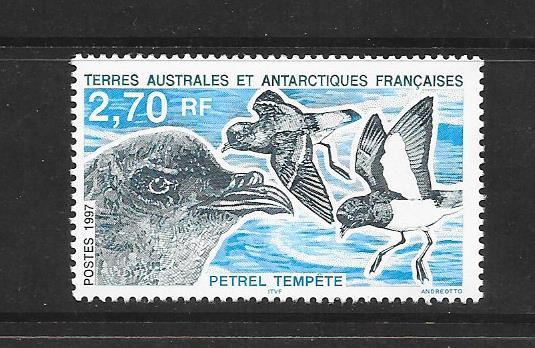 BIRDS  - FRENCH SOUTHERN ANTARCTIC TERRITORIES #223   MNH