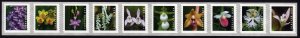 NEW ISSUE (55¢) Wild Orchids Coil Strip of Ten (2020) SA