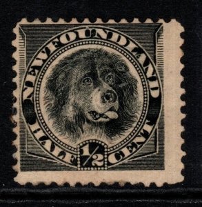 NEWFOUNDLAND SG59 1894 ½c BLACK MTD MINT