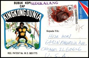 Indonesia to Chicago,IL 1989 Airmail Cover