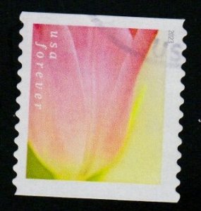 SC# 5775 - (68c) - Tulip Blossoms - 9 of 10 - Used COIL Single - Off Paper