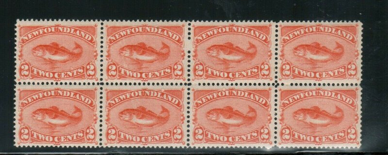 Newfoundland #48b Very Fine+ Never Hinged Block Of Eight