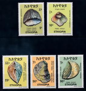 [66031] Ethiopia 1977 Marine Life Fossil Shells  MLH