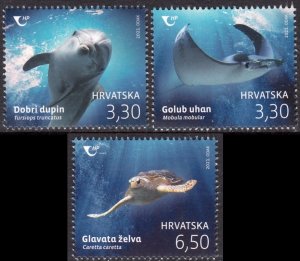 CROATIA 2021 TURTLE FISH DOLPHINS MARINE FAUNA