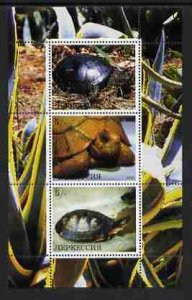 KARACHAEVO - 2000 - Tortoises - Perf 3v Sheet - Mint Never Hinged -Private Issue