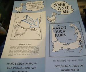 1950s brochure- Mayo's Duck Farm (East Orleans Massachuse...