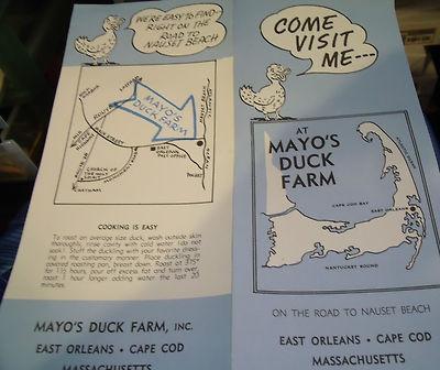 1950s brochure- Mayo's Duck Farm (East Orleans Massachuse...