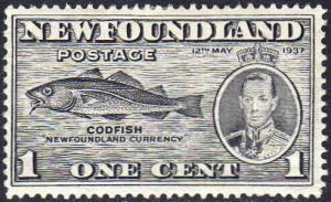Newfoundland 1937 1c grey (Additional Coronation Issue) MH