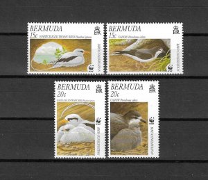 BERMUDA 2001 WWF SG 704/7 MNH