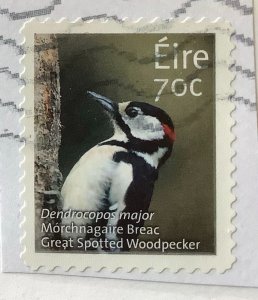 Ireland 2015 Scott 2077 used on paper - 70c, Wildlife, Bird, Woodpecker