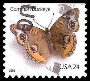 # 4001a USED COMMON BUCKEYE BUTTERFLY