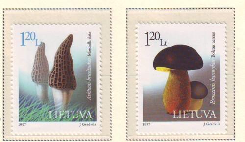 Lithuania Sc 583-4 1997 Mushrooms stamp set mint NH