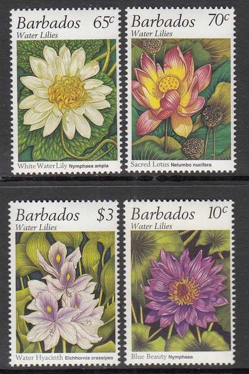 Barbados 905-908 Flowers MNH VF