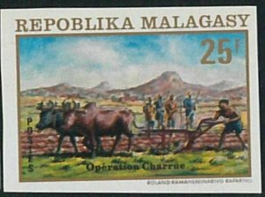 57865b - MADAGASCAR - single stamp - IMPERF!  Gastronomy AGRICULTURE-