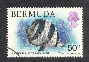 Bermuda # 375 Used Fish