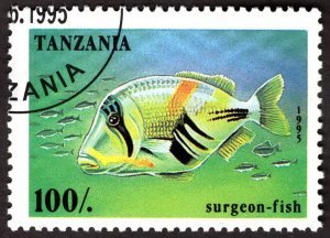 1995, Tanzania 100Sh, Used CTO, Sc 1405