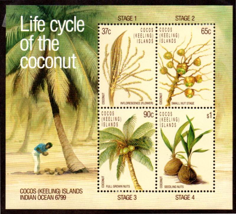 COCOS ISLAND 176a MH S/S SCV $4.75 BIN $2.00 LIFE CYCLE OF THE COCONUT