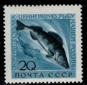 Russia Scott 2375 MNH** Fish stamp 1960