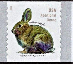 US 5545 MNH VF/XF 20 Cent  Additional Ounce Brush Rabbit